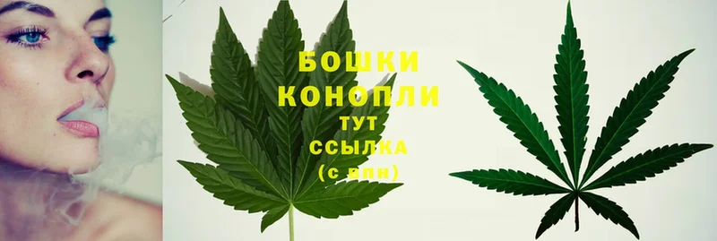 Бошки марихуана THC 21%  купить наркотики сайты  Братск 